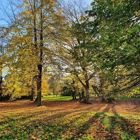 דירה Schicke In Der Naehe Der Ostseekueste *