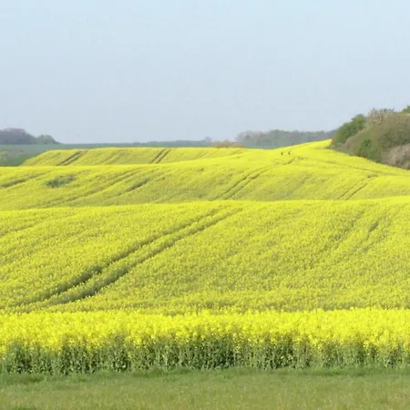 Schicke In Der Naehe Der Ostseekueste * Gerdshagen