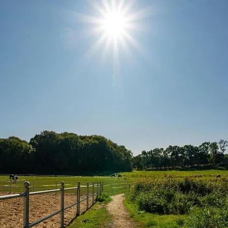 Schicke In Der Naehe Der Ostseekueste דירה *