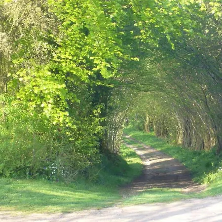 דירה Schicke In Der Naehe Der Ostseekueste *