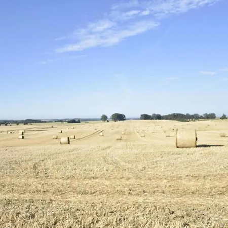Schicke In Der Naehe Der Ostseekueste