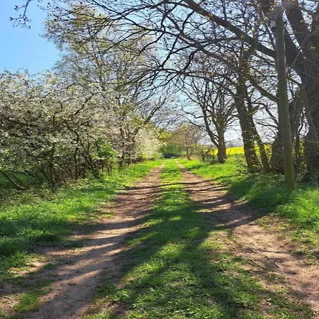 Schicke In Der Naehe Der Ostseekueste