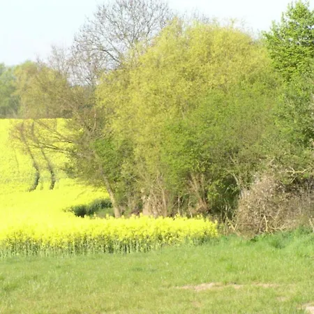 Schicke In Der Naehe Der Ostseekueste דירה
